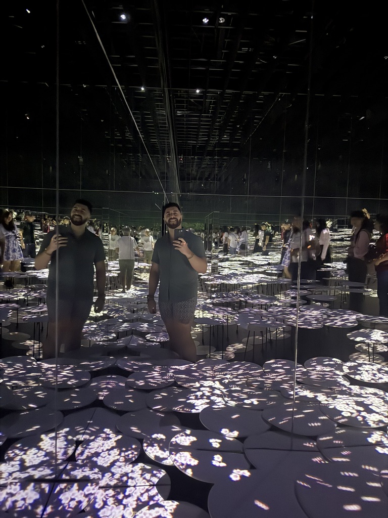 teamLab cherry blossom installation in Tokyo.